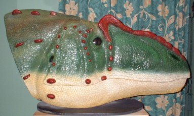 Life-size head of Allosaurus fragilis