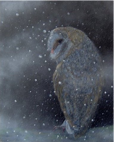 Barn owl in the snow, acrylics on canvas